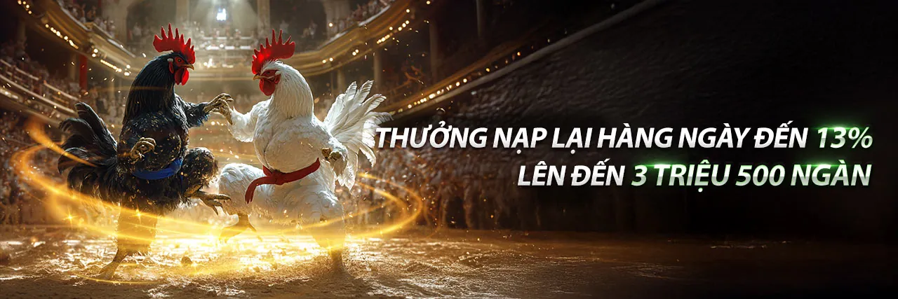 Hình ảnh chính blog vipae888